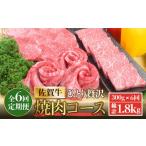 牛肉 サーロイン 全6回定期便 佐賀牛希少部位含む~ひとり贅…