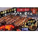 ふるさと納税 うなぎ 愛知県 碧南市  今だけ肝焼き1パック付き 冬の土用丑・年末年始にお届け 三河一色産うなぎの炭火焼 3尾 冷凍 創業大正九年 日本料理 小伴…