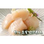 ふるさと納税 魚貝類 ホタテ 北海道 根室市 B-18015 ＼漁業者応援品／ほたて貝柱300g×3P