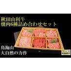 牛肉 サーロイン 秋田由利牛 焼肉6種詰め合わせセット