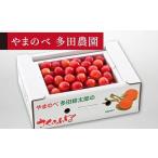 fu.... налог фрукты вид вишня Yamagata префектура Nakayama блок предшествующий предварительный заказ Sato . роза .L 500g... . много рисовое поле . Taro. вишня много рисовое поле сельское хозяйство .