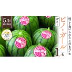 ふるさと納税 茨城県 筑西市 【 先行予約 】 【 訳あり 】 感動必至！ タネが気にならない こだまスイカ ピノ・ガール 1玉 すいか スイカ 小玉スイカ フルーツ…