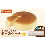 ふるさと納税 ケーキ・カステラ チーズケーキ 福岡県 福岡市 てつおじさんのチーズケーキ 福岡市
