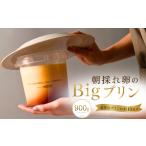 菓子 プリン Big 1個約900g バケツに入った大きなプリン