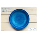 食器 グラス 皿 あさひのうつわ 丸プレート2枚セット