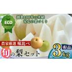 ふるさと納税 梨 奈良県 大淀町 A18 先行予約 南陽園の旬の梨味くらべ 約3kg 2L〜5L 秀品 | 数量限定 梨園直送 期間限定 果物 くだもの フルーツ 農家直送 梨 …