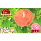ふるさと納税 もも 長野県 小諸市 ふるさと納税 2025年発送 浅間水蜜桃 もも なつっこ 秀品 約5kg 長野県産 小諸市 桃 果物 もも フルーツ モモ 果肉 No.5915-…