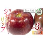 ふるさと納税 りんご 長野県 飯綱町 りんご シナノリップ 家庭用 3kg 松橋りんご園 沖縄県への配送不可 2025年8月中旬頃から2025年8月下旬頃まで順次発送予定 …