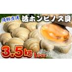 魚貝類 漁師直送 活ホンビノス貝3.5kg