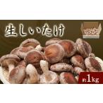 fu.... налог овощи вид .. . Toyama маленький стрела часть город сырой .. примерно 1 килограмм в коробке 1288310