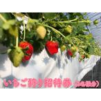 入場券 優待券 いちご狩り招待券 2名様分