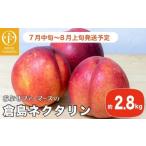 ふるさと納税 もも 長野県 小布施町 長野産 倉島ネクタリン 約2.8kg ［おぶせファーマーズ］先行予約 ネクタリン 果物 フルーツ 冷蔵便 クール便 長野県産 信…