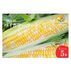 とうもろこし BG033 令和9年度出荷分