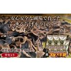 fu.... налог овощи вид .. . Fukushima префектура запад Aizu блок специальный отбор запад Aizu производство сухой иудино ухо средний комплект ( чёрный 30g×6 пакет ) совершенно нет пестициды сухой иудино ухо местного производства дерево уголок ki медуза еда F4D-226...