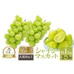 ふるさと納税 ぶどう マスカット 山梨県 笛吹市 25年発送先行予約 厳選 池田青果のシャインマスカット1.0kg 2~3房 173-006 | シャインマスカット 1kg 発送 池…