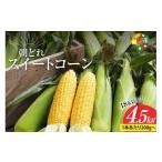 とうもろこし DG035 令和9年度出荷分
