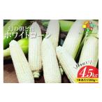 とうもろこし DG036 令和9年度出荷分