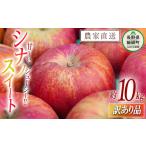 ふるさと納税 りんご 長野県 飯綱町 りんご シナノスイート 訳あり 10kg マルカズりんご農園 沖縄県への配送不可 2025年10月上旬頃から2025年10月下旬頃まで順…