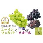 ふるさと納税 ぶどう マスカット 山梨県 笛吹市 25年発送先行予約 厳選 池田青果の 大人気ぶどう2種盛り合わせ シャインマスカット・巨峰 or ピオーネ(1.0kg…