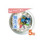 ふるさと納税 無洗米 福岡県 行橋市 AF-007　福岡県産元気つくし 無洗米 5kg