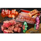 うなぎ 土佐の山 川 産うなぎ蒲焼と土佐あかうしももセット