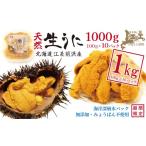 旬の鮮魚等 \2027年発送 江差前浜産