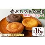 焼菓子 チョコレート マドレーヌ 16個