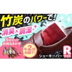 全2回定期便 色柄おまかせシューキーパーR