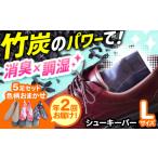 全2回定期便 色柄おまかせシューキーパーL