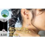 アクセサリー ピアス あこや本真珠ぶら下がりヒ