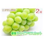 ふるさと納税 ぶどう マスカット 福島県 会津坂下町 予約開始 完熟シャインマスカット 650 ~ 750g 2房 (会津里山農園)47-B | 福島 ぶどう 皮ごと 種なし …