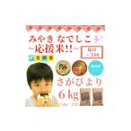 ふるさと納税 無洗米 佐賀県 みやき町 CIC89_ みやきなでしこ 応援米 5回定期便 無洗米 さがびより6kg(3kg×2袋) 五つ星お米マイスター厳選
