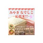 ふるさと納税 佐賀県 みやき町 CI326【みやきなでしこ】応援米さがびより白米６kg（３kg×２袋）