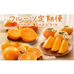 果物類 みかん 全3回定期便 秋の味覚 果物定期便
