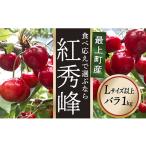 ふるさと納税 果物類 さくらんぼ 山形県 最上町 令和7年産予約 さくらんぼ「紅秀峰」 Lサイズ以上 バラ1kg