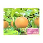 ふるさと納税 梨 千葉県 四街道市 豊水 約5kg / 中島梨園 /梨 なし 果物