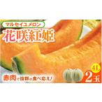 ショッピングふるさと納税 メロン ふるさと納税 メロン メロン赤肉 福井県 あわら市  先行予約 マルセイユメロン 2玉入 4Lサイズ 2026年6月中旬より順次発送 aw003-a007