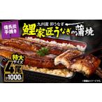 ふるさと納税 うなぎ 鹿児島県 鹿屋市 1749-1 特大 九州産うなぎ 備長炭手焼 『鯉家匠うなぎ』の蒲焼 4尾セット 計1,000g　KN029-008