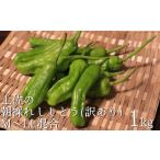 野菜類 訳あり 土佐のししとう 1kg