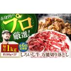牛肉 炒め物 牧場直送 6回定期便 しろいし牛