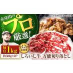 牛肉 炒め物 牧場直送 12回定期便 しろいし牛