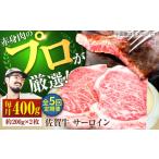 牛肉 サーロイン 牧場直送 5回定期便 佐賀牛