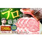 牛肉 サーロイン 牧場直送 5回定期便 佐賀牛