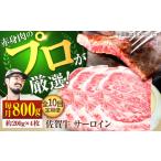 牛肉 サーロイン 牧場直送 10回定期便 佐賀牛