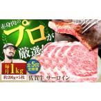 牛肉 サーロイン 牧場直送 5回定期便 佐賀牛