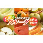 果物の詰合せ あわら満喫 6種