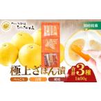 菓子 詰合せ 極上ざぼん漬3種