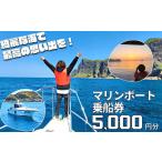 体験チケット 絶景の海と自然を巡る 隠岐島前クルージング…