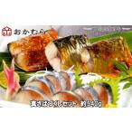 漬魚 味噌 粕等 味噌漬け DN114 おかむら