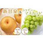 ショッピングふるさと納税 梨 ふるさと納税 梨 鳥取県 北栄町 537. 先行予約 新甘泉3玉とシャインマスカット1房 8月下旬〜9月中旬頃に順次発送予定 先行予約 シャインマスカット マスカット…